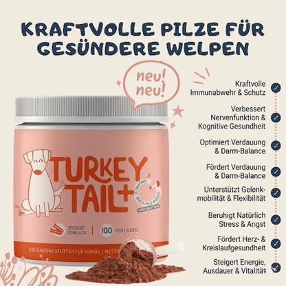 Mokuake - Pilz turkey tail