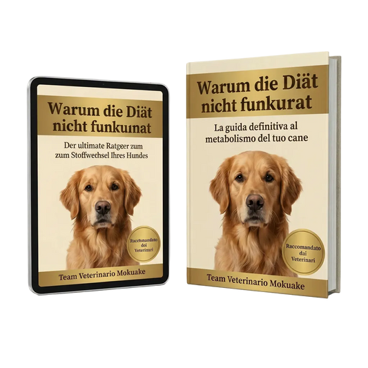 Die Stoffwechselblockade – Warum dein Hund nicht abnimmt