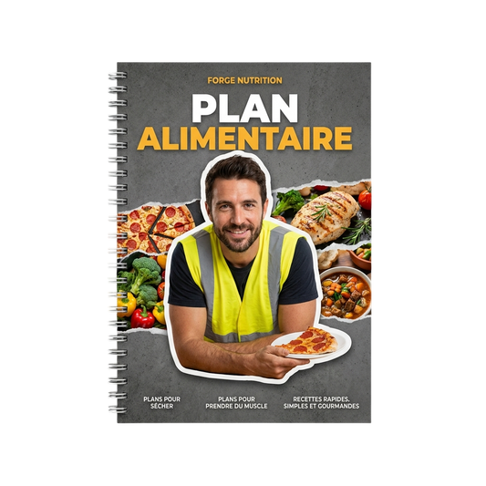 Plan alimentaire E-book